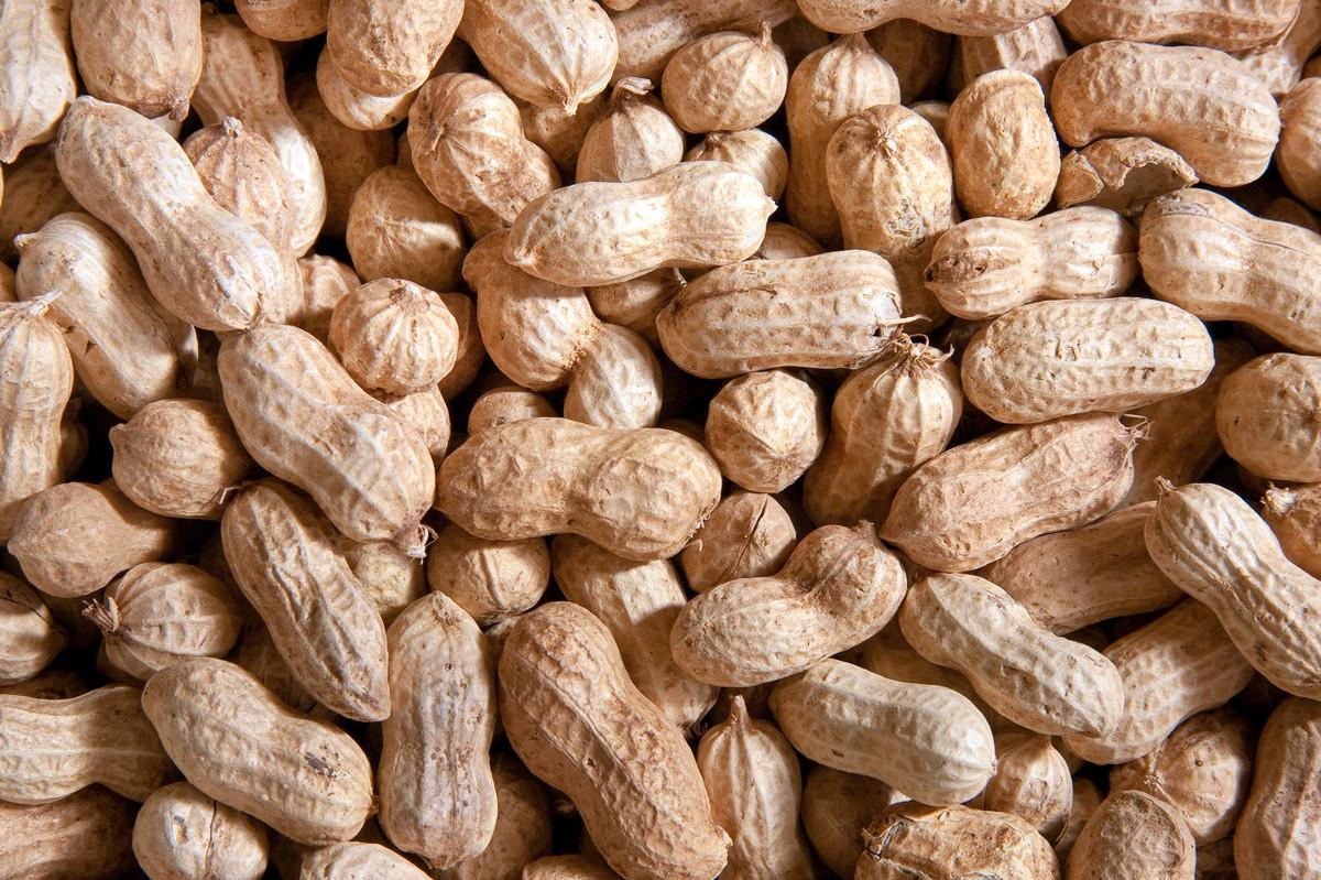 今日花生米最新价格揭秘,洞悉花生市场新动态