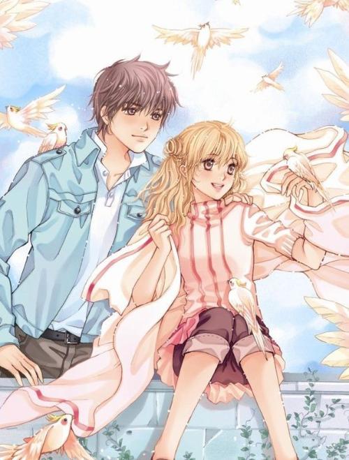 契婚椿小鹿最新章节,温馨日常趣事揭秘