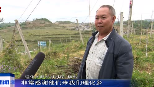 大方新闻最新杀人事件报道及分析，聚焦要点深入探讨