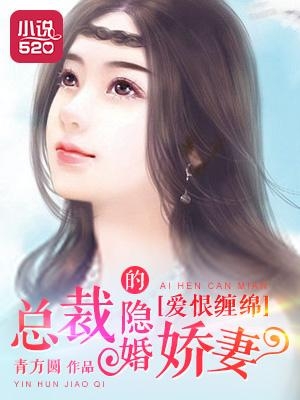 沈南乔最新小说爱恨，多维解读与深度探讨