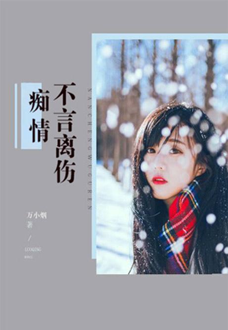 沈南乔最新小说爱恨,多维解读与深度探讨