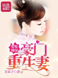 沈南乔最新小说爱恨,多维解读与深度探讨