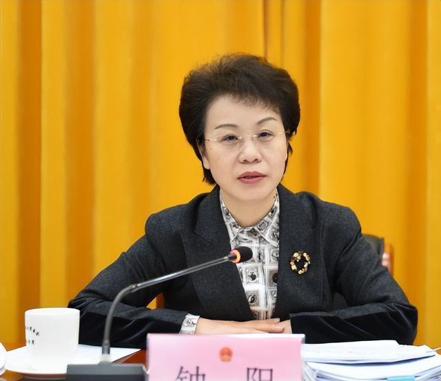 杨建忠最新动态，成功背后的故事揭晓