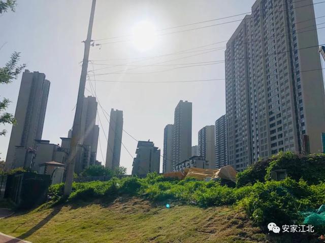 江北水岸新城最新动态,城市发展与友情交织的温馨故事