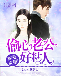 总裁掠爱成婚,最新章节及其背景、事件与影响全解析