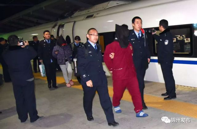 锦州酒托诈骗最新消息报道