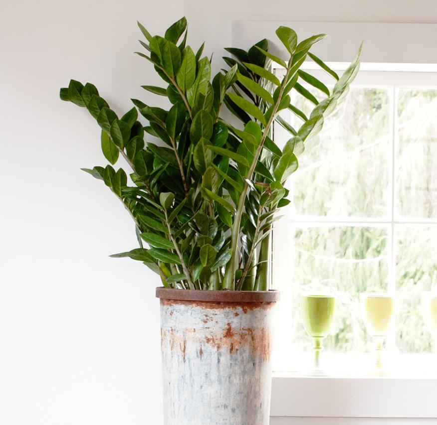 易看软件最新版下载，科技重塑视界，体验未来生活的必备工具