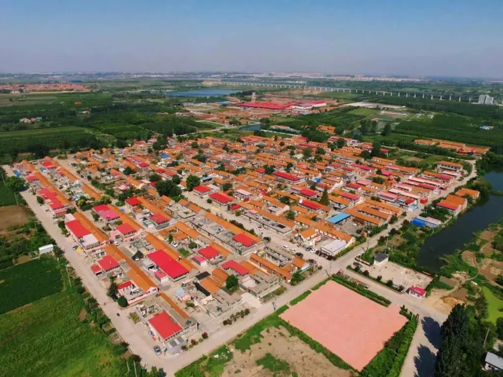 青岛集中改造最新动态揭秘，震撼来袭！