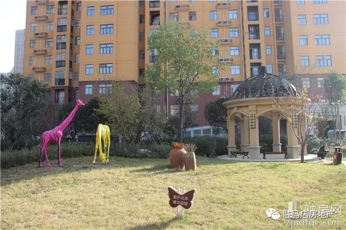 信合学府春天房价与家园温馨,最新房价信息解析