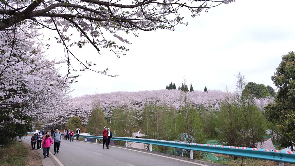 2024阳春新闻最新动态,学习变革,自信塑造未来