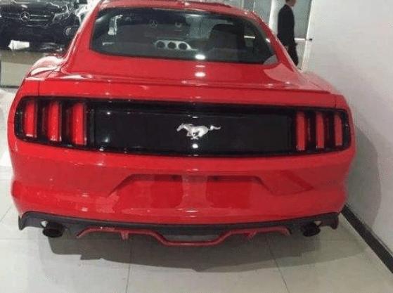 野马直播最新动态，欢乐日常与友情纽带的直播间体验