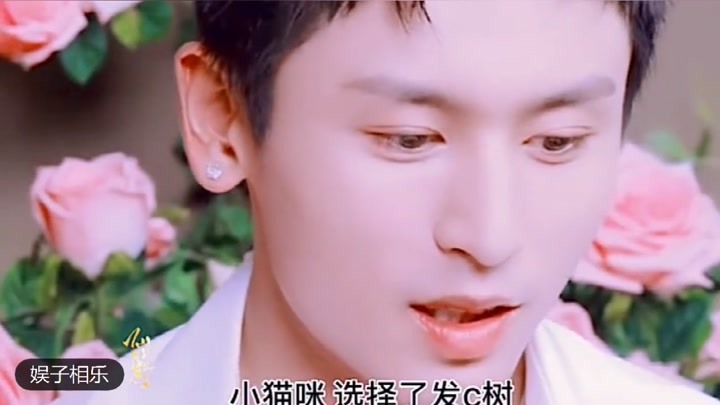 2024新澳资料免费精准17期,无线视频监控_豪华款5.767