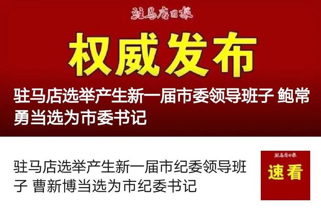 最新权威观点深度解析,某某观点的深入论述与探讨