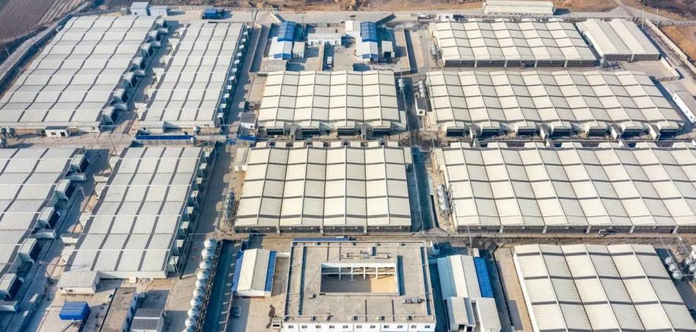 最新智能养猪技术,科技重塑畜牧业,开启未来养猪新纪元