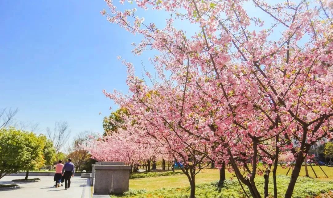 洛阳工程机械协会的职责 第331页