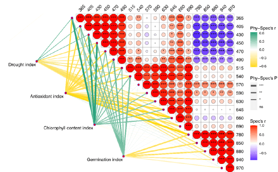 新澳门资料大全正版资料？奥利奥,科学解释分析_增强版40.269