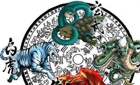 澳门白虎玄机精准玄武2,可依赖操作方案_精选版12.714