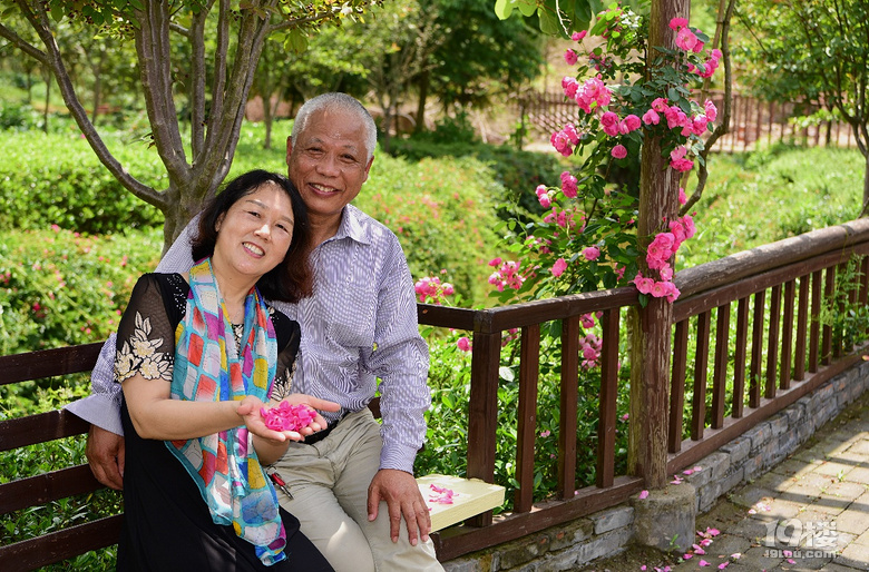 如何找到理想伴侣,最新伴侣寻找详细步骤指南