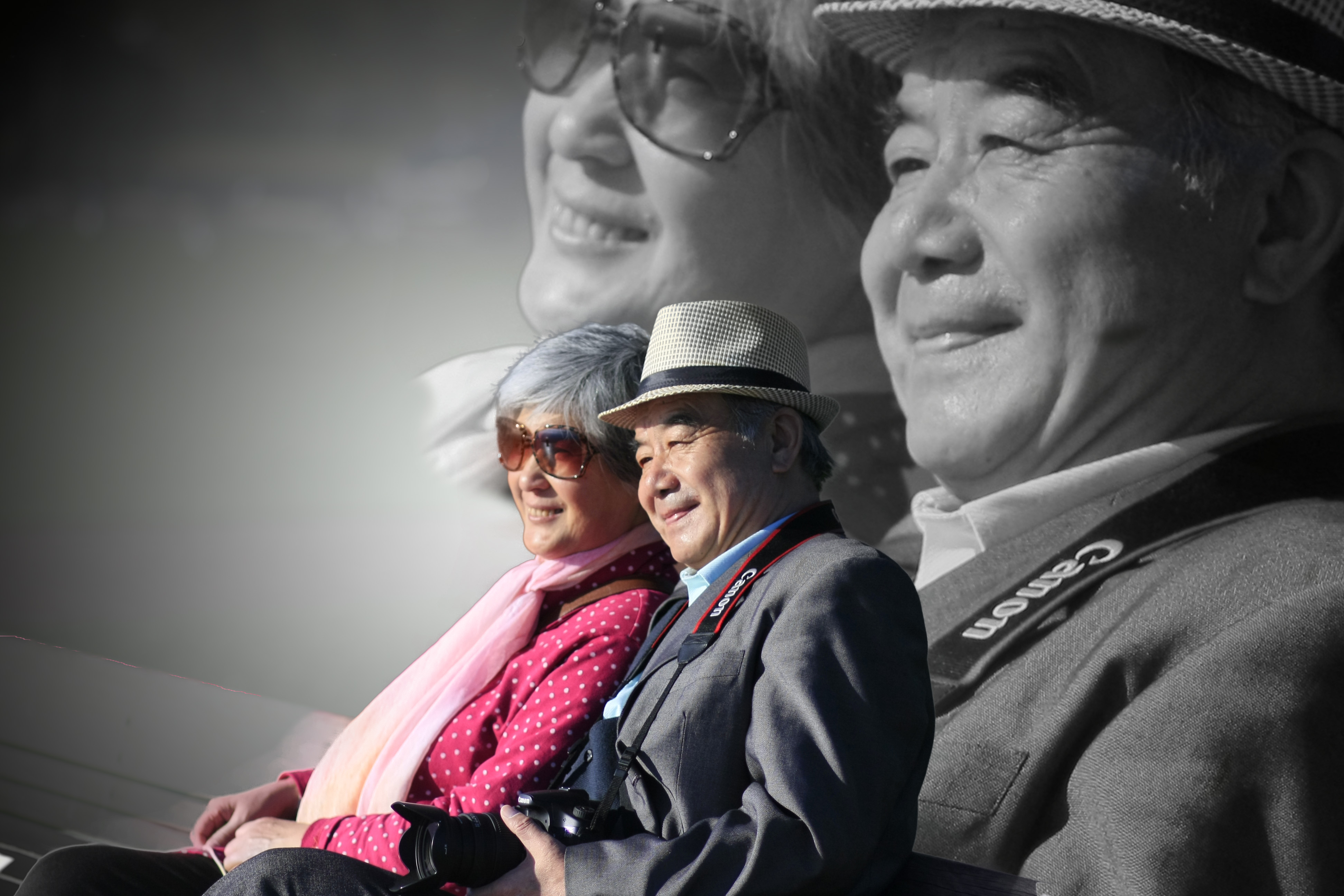 如何找到理想伴侣,最新伴侣寻找详细步骤指南