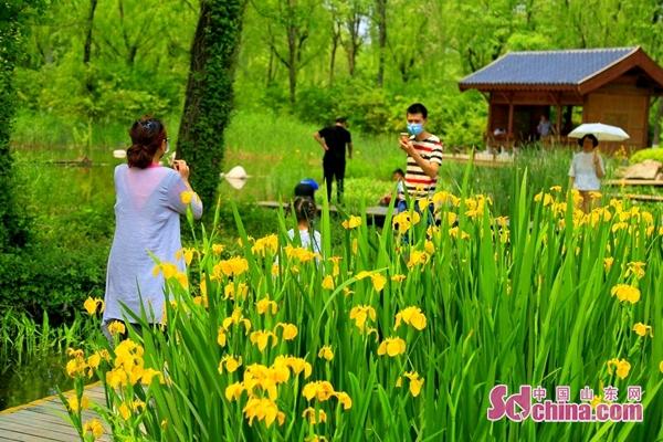 严优最新动态,拥抱变化,自信成就未来之路