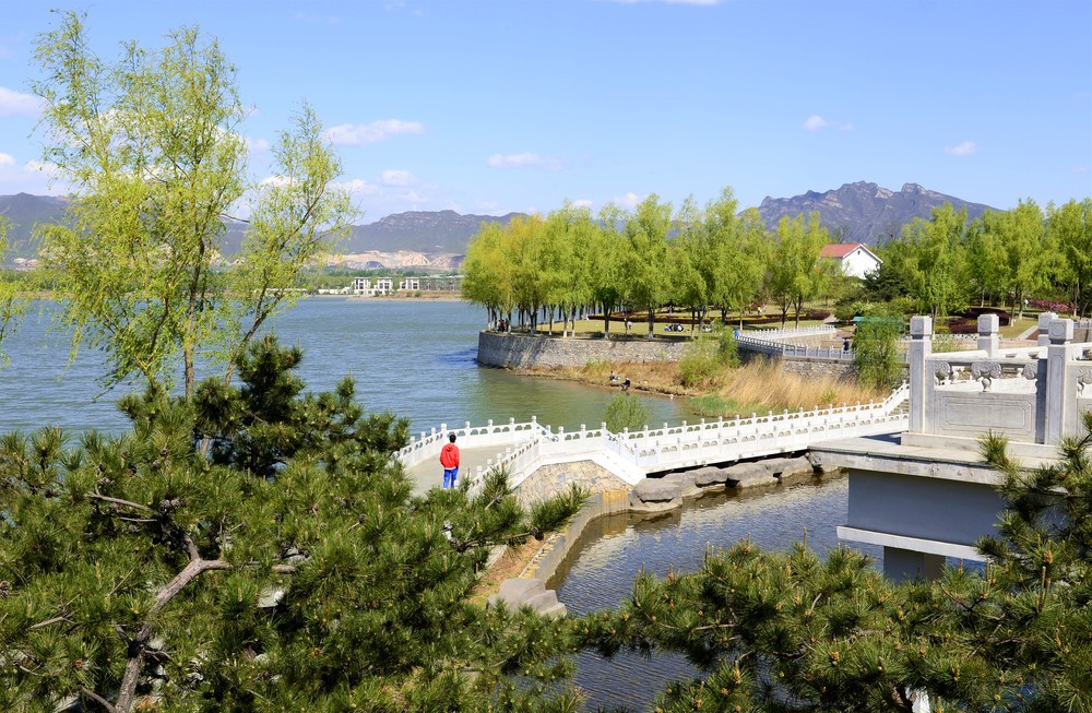 青龙湖最新发展论述概览