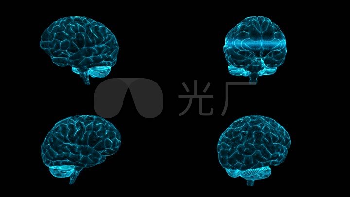 下载最新大脑,下载最新大脑，未来科技重塑人类心智的无限可能