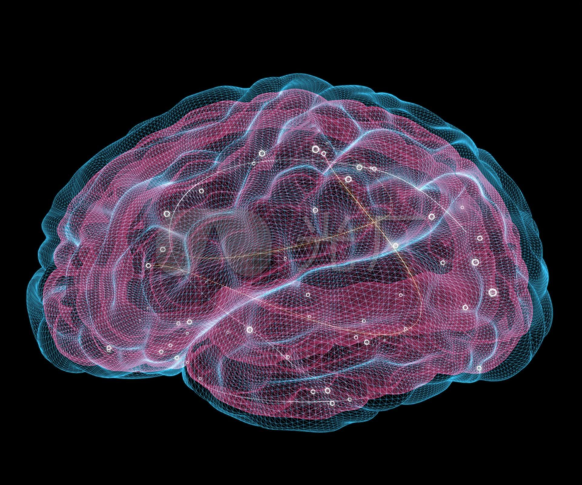 下载最新大脑,下载最新大脑,未来科技重塑人类心智的无限可能