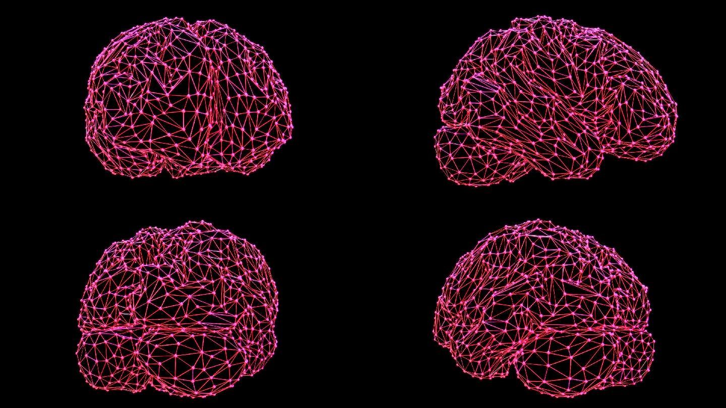下载最新大脑,下载最新大脑,未来科技重塑人类心智的无限可能