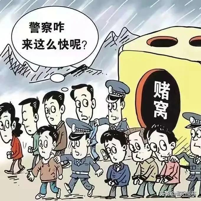 鄱阳最新案件深度解读与剖析