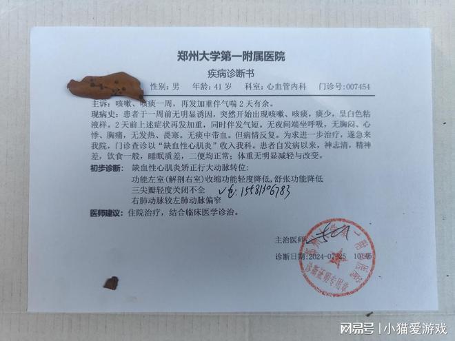 上海疫情最新解读,全面梳理现状与发展趋势