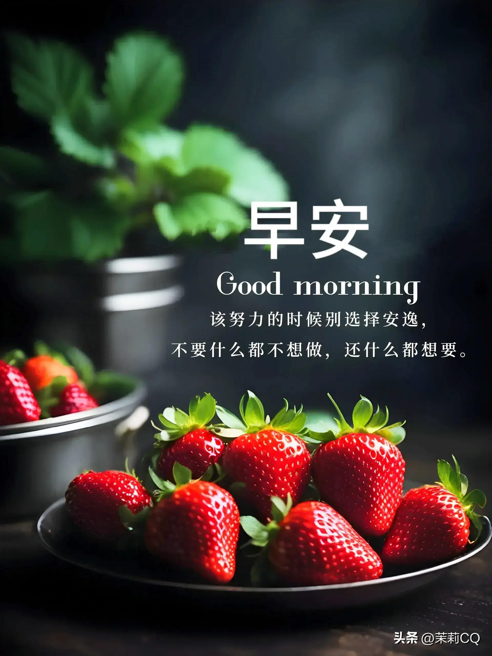 2024天天彩全年免费资料,深入挖掘解释说明_未来版3.958