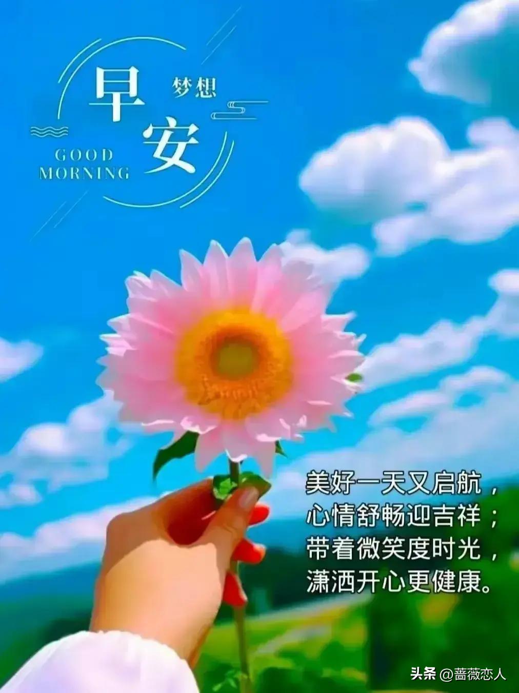 2024年天天彩免费资料,实地数据验证_游戏版61.342