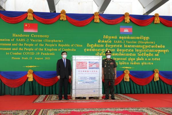 金边最新疫情动态及防疫指南与应对步骤