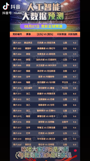 2024年澳门天天彩正版免费大全,专家解说解释定义_星耀版93.889