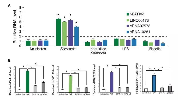 2024新奥最新资料,定量解析解释法_启动版62.618