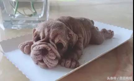 徐蛋糕最新科技烘焙革新,生活因甜点更甜蜜