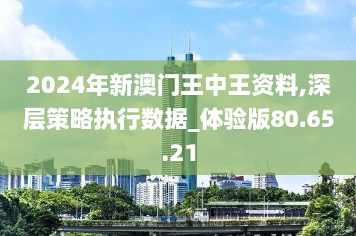 2024新澳门王中王正版,实地数据评估分析_习惯版63.832