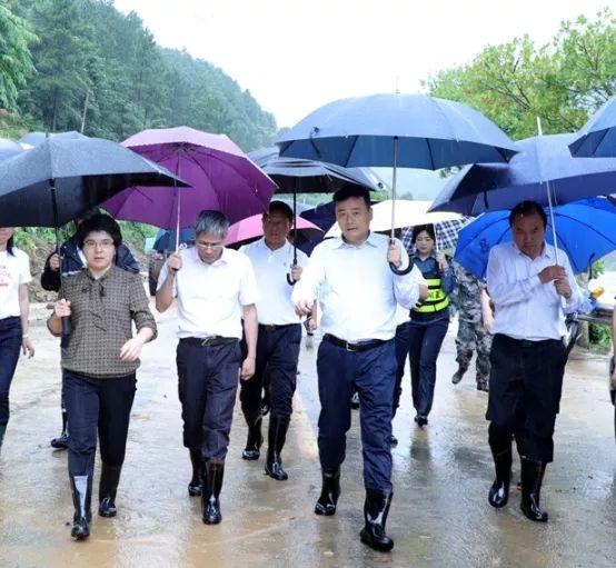 衢州汛情实时更新,关注安全度汛的最新动态