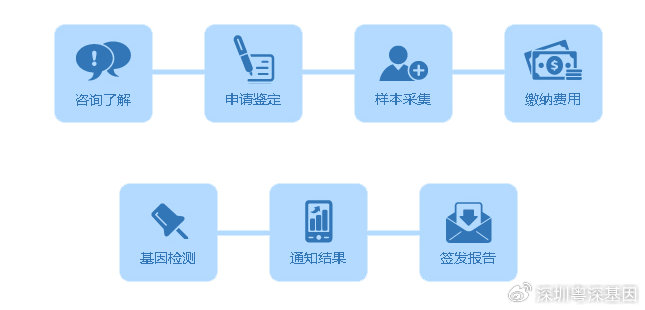 一肖一码一一肖一子深圳,实地验证研究方案_云技术版68.241