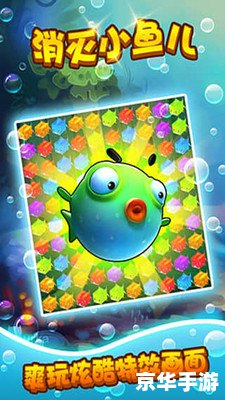 小鱼儿玄机二站资料提供资料,快速解决方式指南_钻石版49.516