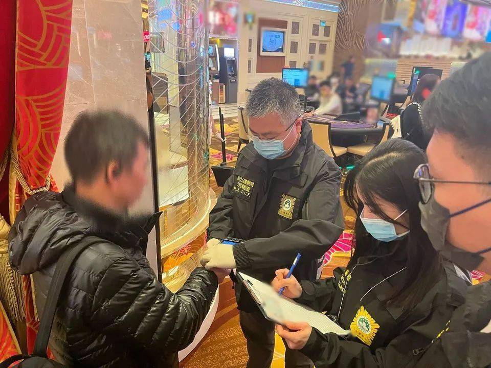 新2024年澳门天天开好彩,社会承担实践战略_桌面款72.549