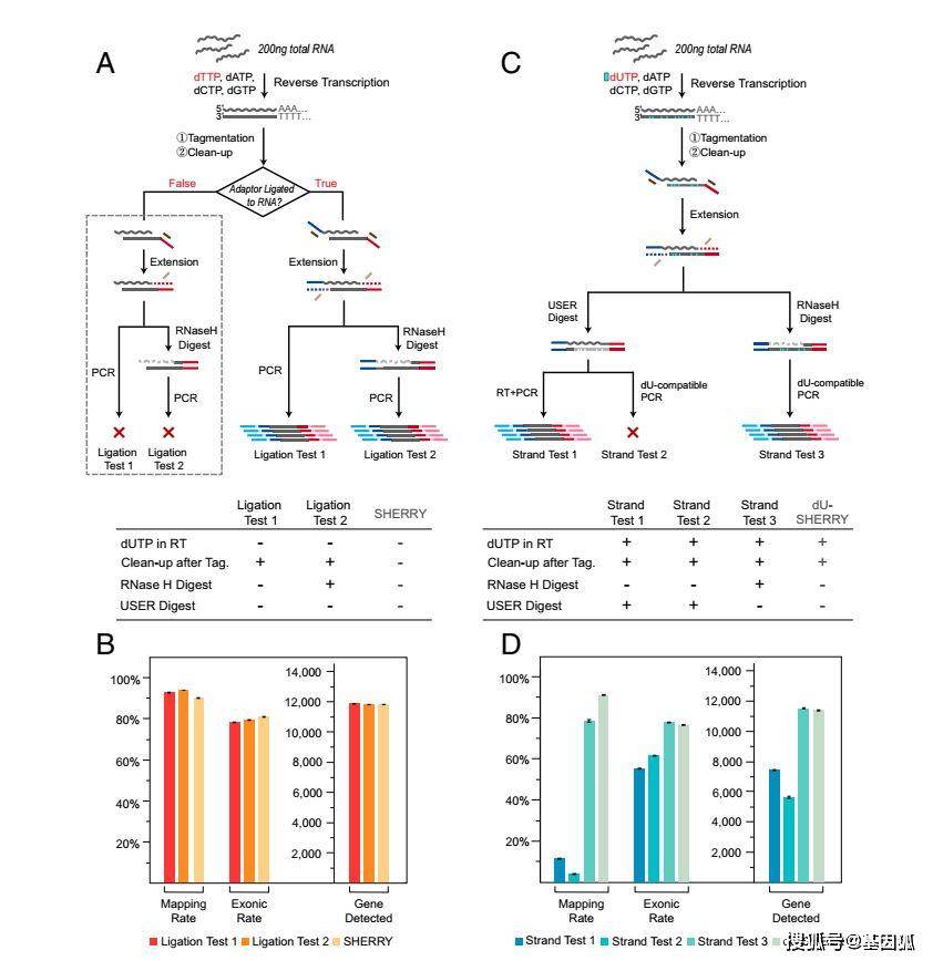 新奥正版资料与内部资料,科学解释分析_工具版88.252