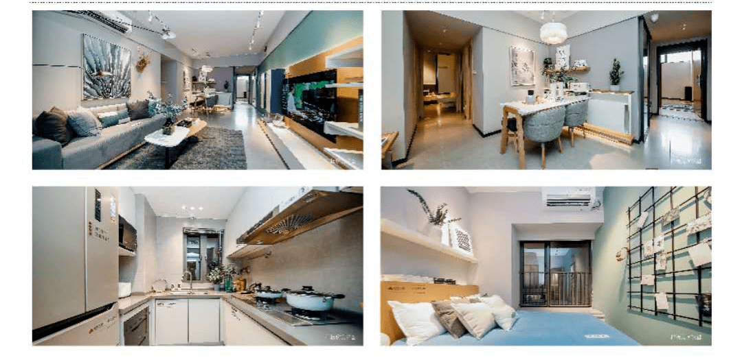 新奥长期免费资料大全,专业调查具体解析_响应版24.120