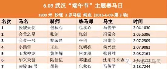 新澳2024年精准特马资料,专业数据解释设想_养生版10.292