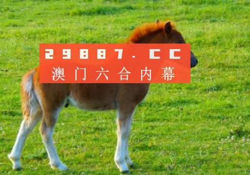 新澳门一肖一码中恃,实用性解读策略_体验版51.779