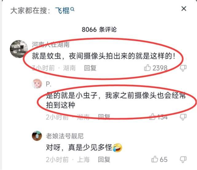 新澳门开奖结果+开奖号码,专家解说解释定义_随行版52.503