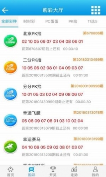 新澳门王中王100%期期中,实地验证研究方案_便携版65.566