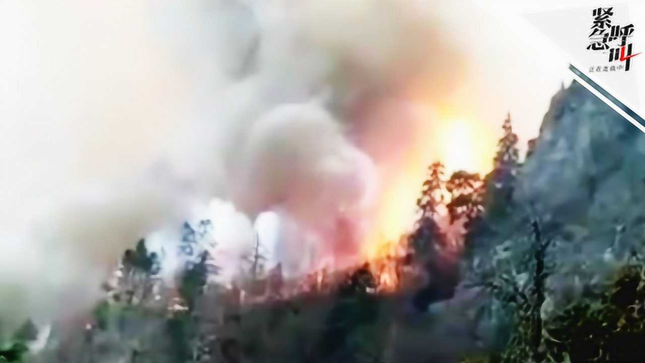 烈火最新动态,烈火最新动态，温馨日常的火焰奇遇