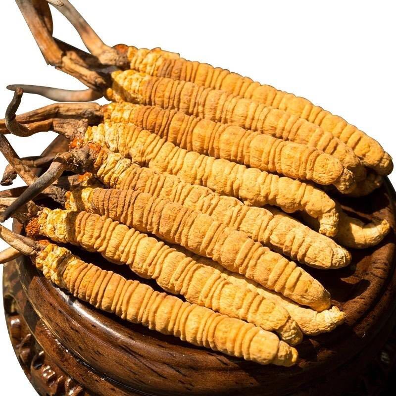 最新养骨秘籍,重塑自信,骨骼与心灵的共同成长之路