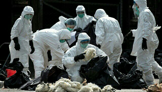 湖北最新科技突破,智能防护系统——未来瘟疫的守护者